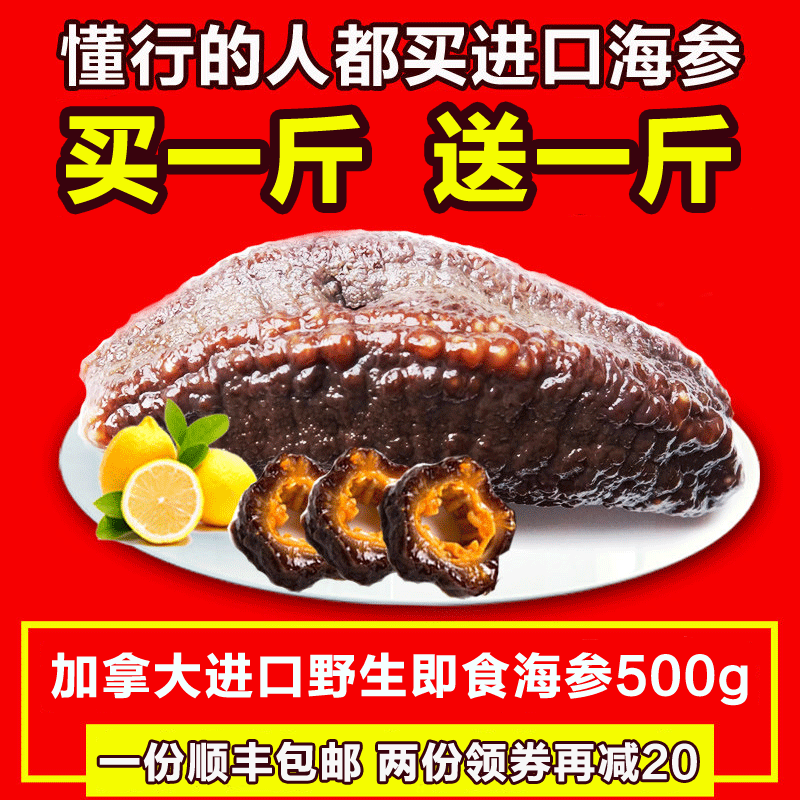 加拿大进口海参干货 海参即食野生500g 北极红极参新鲜深海渗海叁