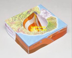 n 火山口火山爆发熔岩断层视土层地质地理矿山模型