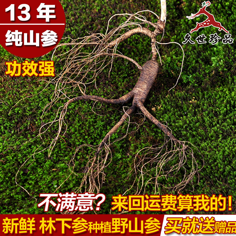 人参长白山人参泡酒野山参新鲜人参带土林下参移山参东北人参