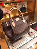 代购 Louis Vuitton 老花单肩包女款全皮饺子包手提包
大号