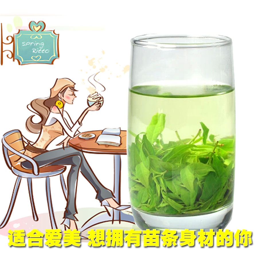 正宗四川2016新茶 峨眉山特级野生有机小叶苦丁茶青山绿水茶250g