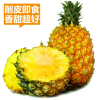 【助农破滞销】徐闻香水甜菠萝 10斤包邮 送果