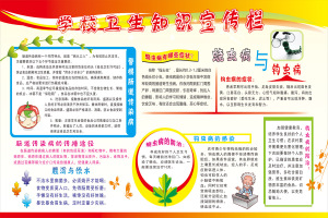 学生卫生保健知识健康教育学校卫生知识宣传栏