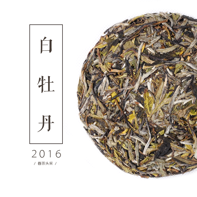 白牡丹茶叶 2016春季特级 政和白茶饼礼盒 福鼎政大野生125g白皮