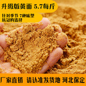 保定正宗黄面面鲤鱼饵小黄面钓饵草鱼饵料小药黑坑窝料鱼料黄面面