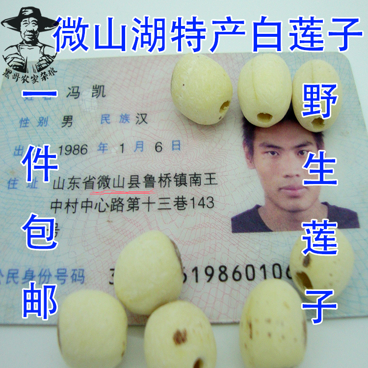 微山湖特产优质无芯白莲子2016年新纯野生去芯莲子 干货250g 包邮