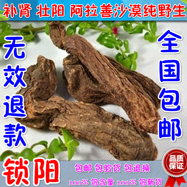 锁阳 茶 锁阳固精 野生 纯天然 金锁阳 片 锁阳粉 阿拉善沙漠250g