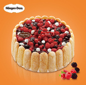 广州正品哈根达斯冰淇淋父亲节生日蛋糕同城速递夏洛特HaagenDazs