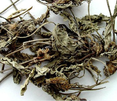 无硫正品中药材农村地道野生车前草 车前子 干车前草茶500克40元