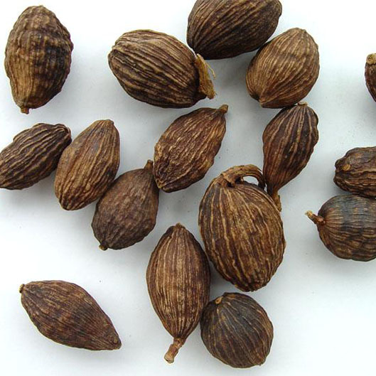 云南特产 草果50克 厨房调味料 卤菜香辛料 干草果 袋装 火锅烧菜