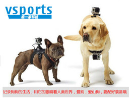 式薄款少女内衣性感蕾丝无痕小胸超聚拢<em>文胸</em>套