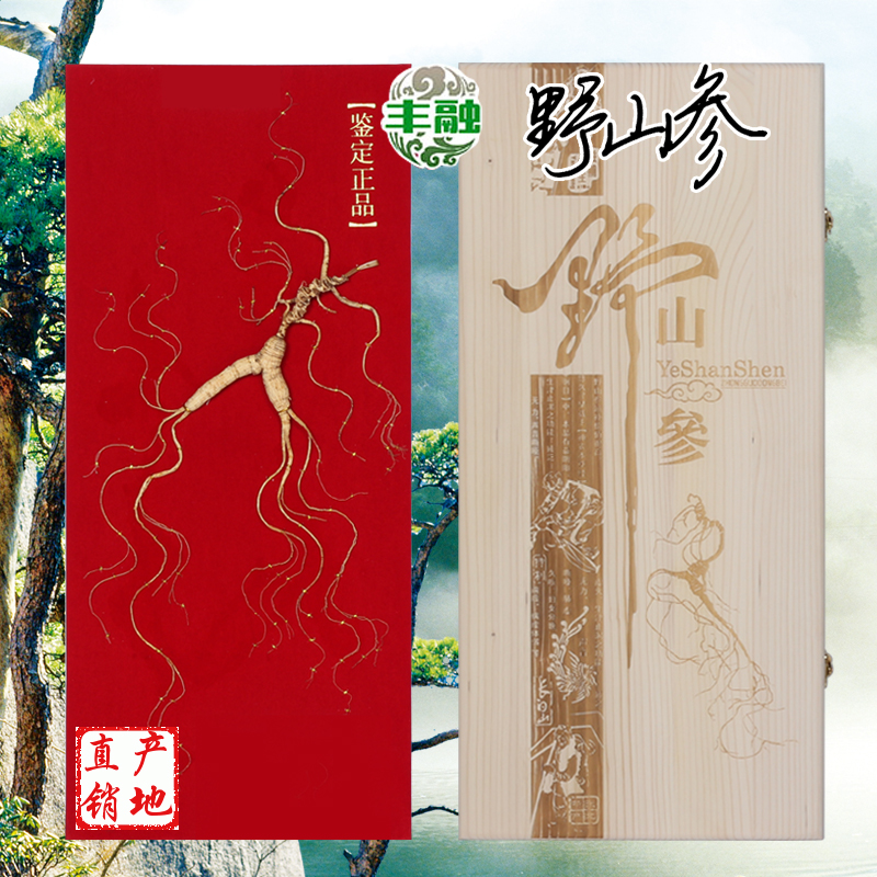 长白山野山参 人参 55年 高档 人参礼盒 野生人参 山参 国检一等