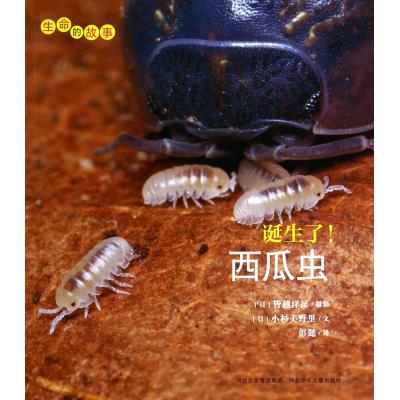 诞生了西瓜虫/生命的故事 正版书籍  (日)小杉美野里|译者:彭懿|摄影:(日)皆越洋征 河北少儿97875376708