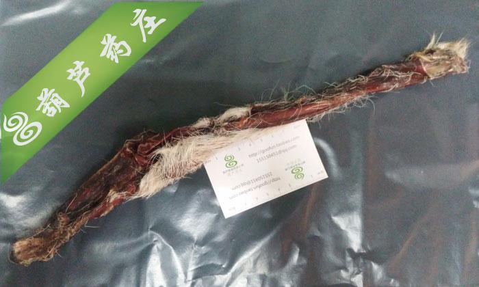 成年壮鹿鞭带毛带骨头 整只鹿鞭正品 大只 重达80克以上 限量发售