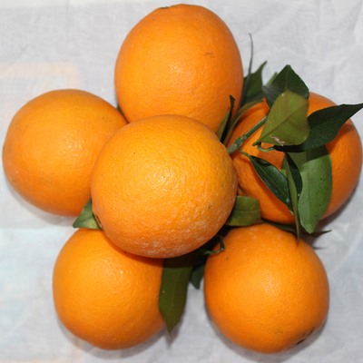 江西赣南脐橙特产寻乌甜橙子新鲜水果现摘现发