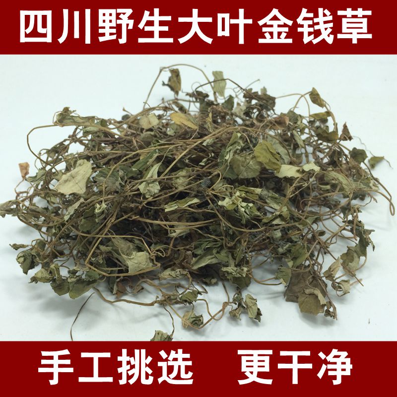 中药材金钱草四川野生大叶金钱草结石排石茶新货干净500克包邮