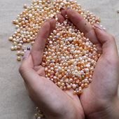 批量斤可打孔 供佛做枕头镶嵌磨粉 4天然医药用淡水裸珍珠散珠