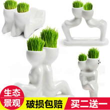 办公室迷你微景观小盆栽 微观生态瓶DIY植物小草种子头上长草娃娃