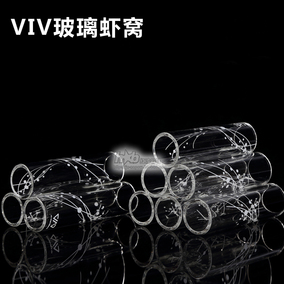 正品[极火虾观赏虾]观赏虾评测 观赏虾繁殖图片