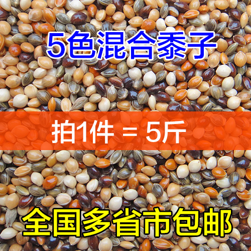 虎皮牡丹玄凤中小型鹦鹉鸟食饲料五色黍子鹦鹉混合营养粮谷子包邮