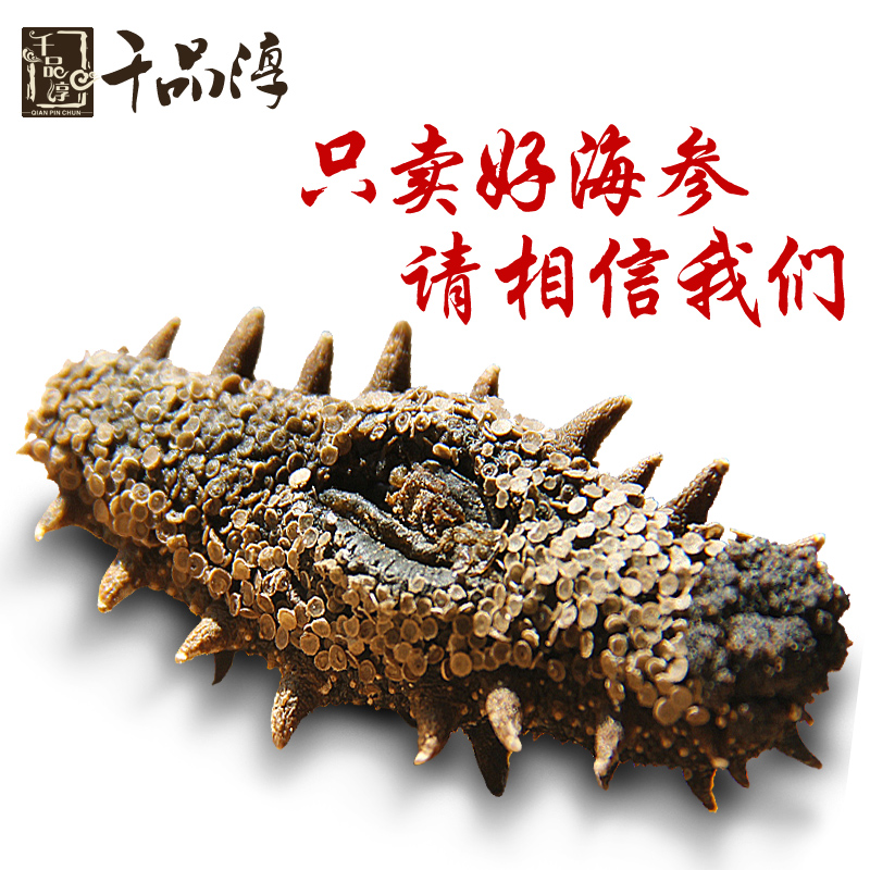 千品淳 7A大连淡干海参干货50g 野生海参礼盒原产地辽参刺参