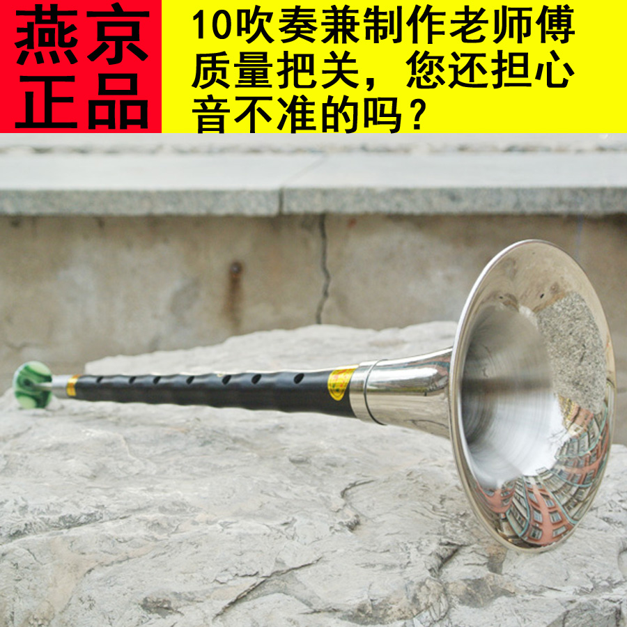 唢呐乐器 初学者成人乌木唢呐c调全套民族吹奏乐器送哨片流行歌曲