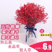 饰家居摆设真花 云南干花花束风干勿忘我满天星水晶草小清新客厅装