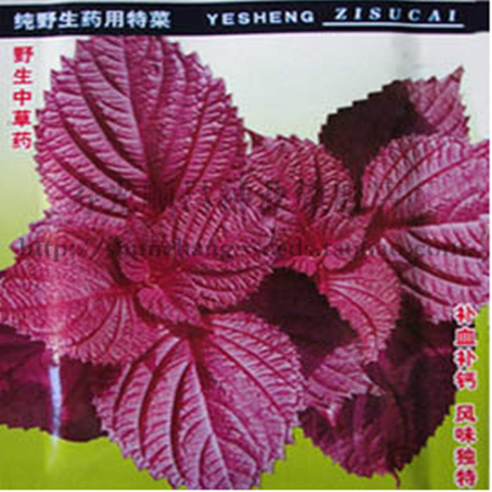 寿光特菜紫苏子 具有润肺,消炎的功效  野生中草药 补血补钙 3克