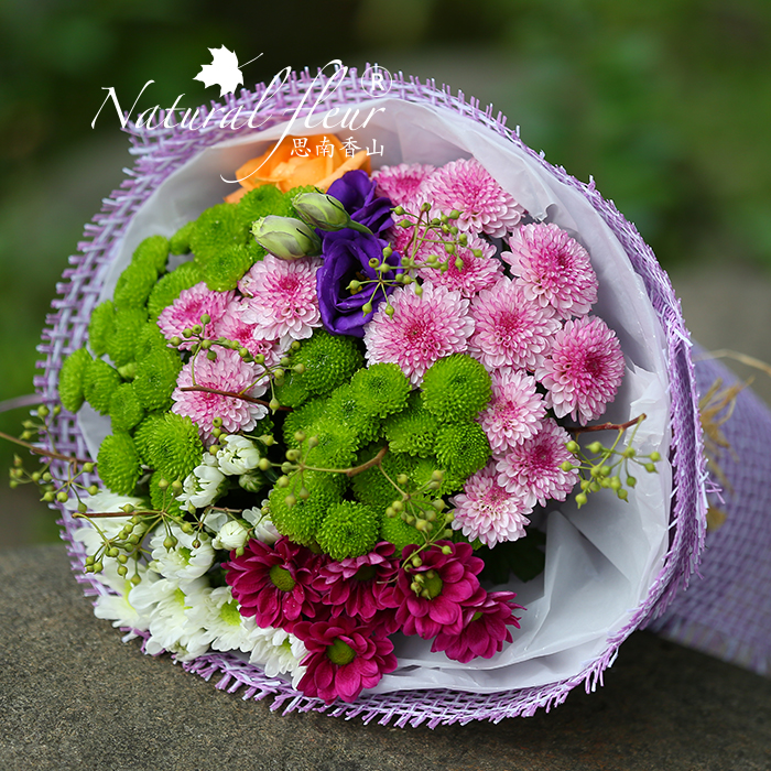 思南香山上海鲜花速递 同城朋友生日祝福雏菊桔梗花混搭花束订花