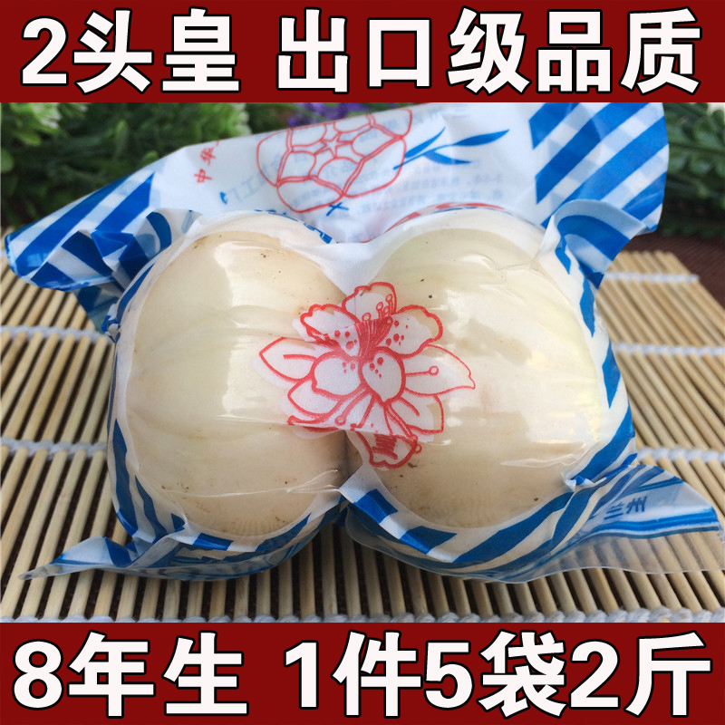 出口级 甘肃土特产兰州鲜百合两头皇食用特级甜新鲜百合真空包装