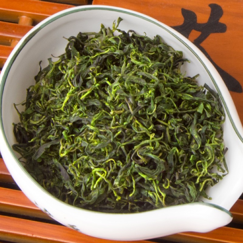 2015新茶贵州特产茶叶绿茶 小叶苦丁茶 特级养生茶 余庆苦丁茶50g