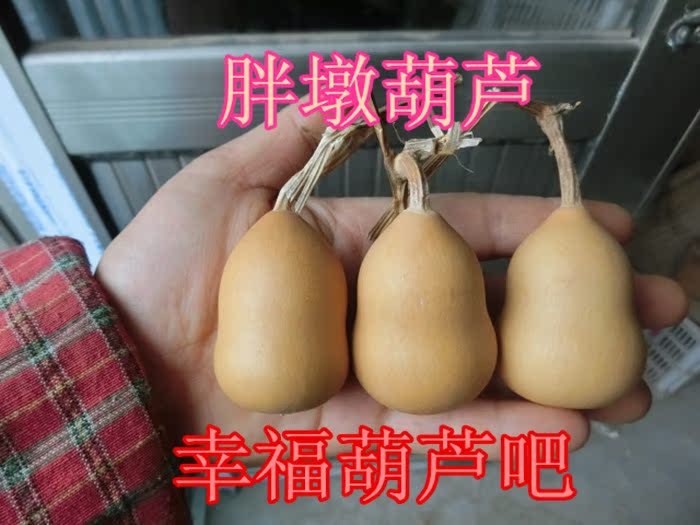 天然美国草里金手捻小葫芦新货文玩小葫芦手把玩件一物一图精品
