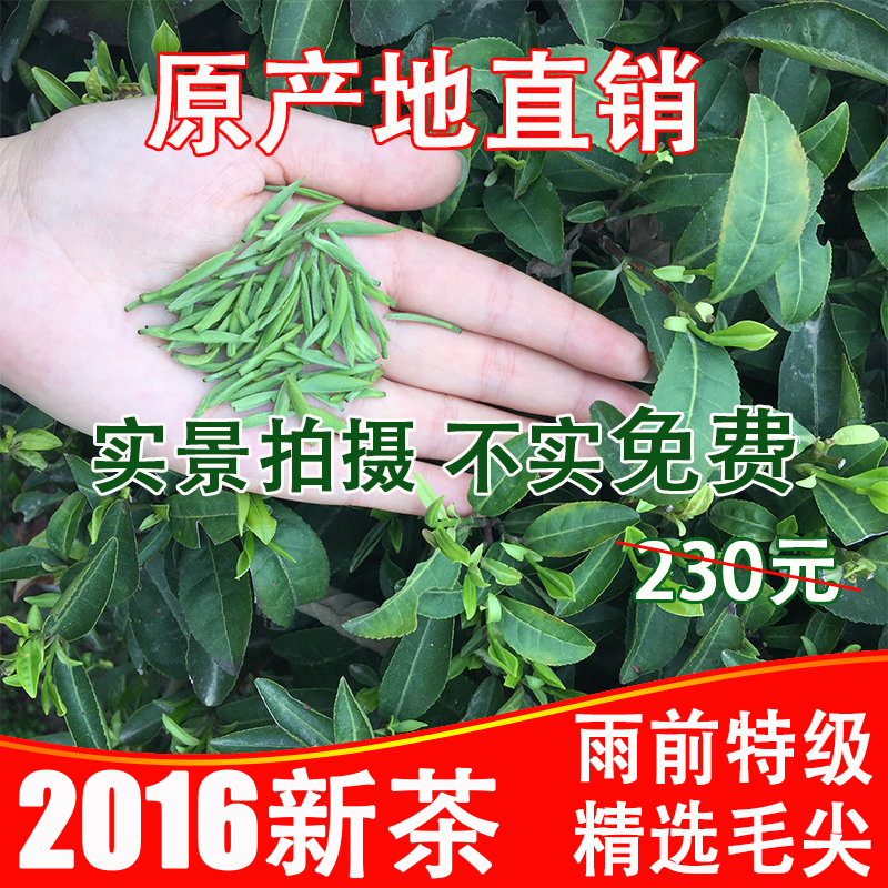 信阳毛尖自产自销2016绿茶谷雨特级嫩芽散装250g大山茶特价包邮