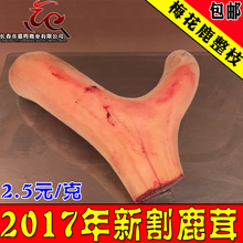 泡酒料 头茬二杠鲜鹿茸血片 免邮 长白山滋补品 梅花鹿鲜鹿茸整枝