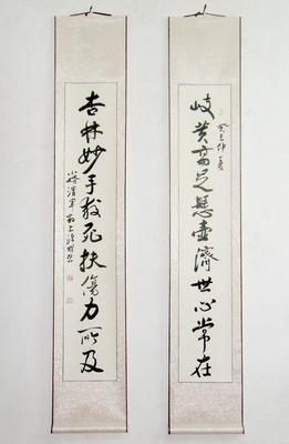 送医生礼物 对联 行书 书画作品 书法作品真迹 字画 书法 已装裱
