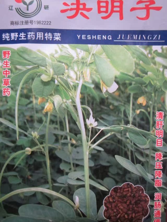 决明子种子野生保健中药种子 羊角豆 野青豆 降压草