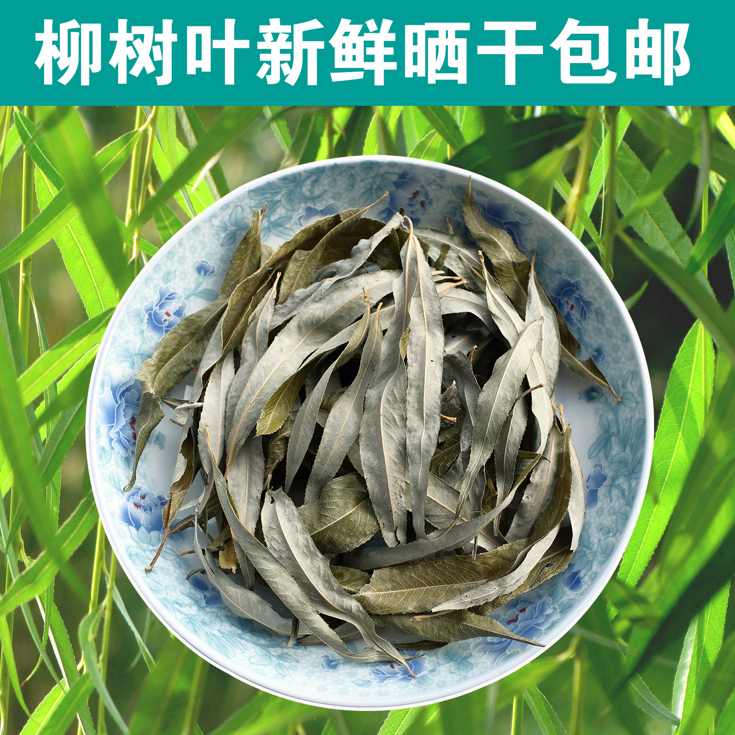 老田特产山沟柳树叶野生新鲜干中药材干柳树叶子柳叶茶500克包邮