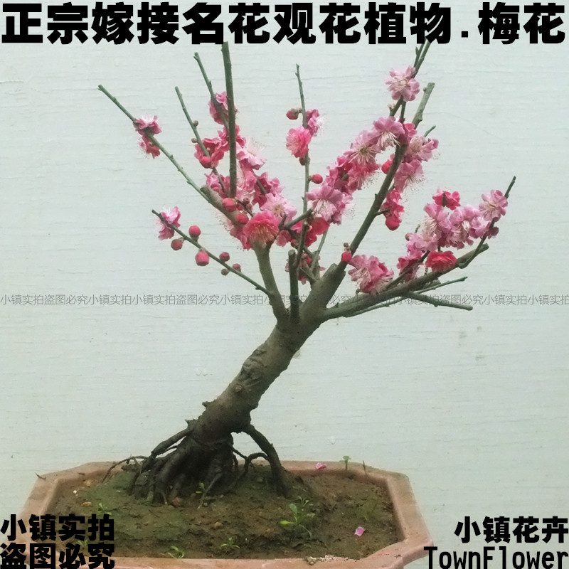 Сڼ޽Ӻ÷÷÷Ĺ ÷ ÷÷辰