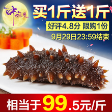 包邮 买1送1 500g 即食海参 辽参深海刺参 野生海参大连 尚源堂