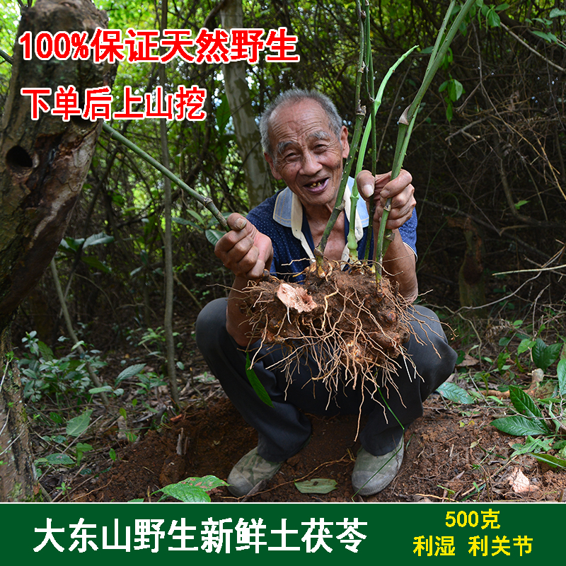 深山自挖晒土茯苓新鲜野生纯天然茯苓中药材除湿祛湿煲汤料500克