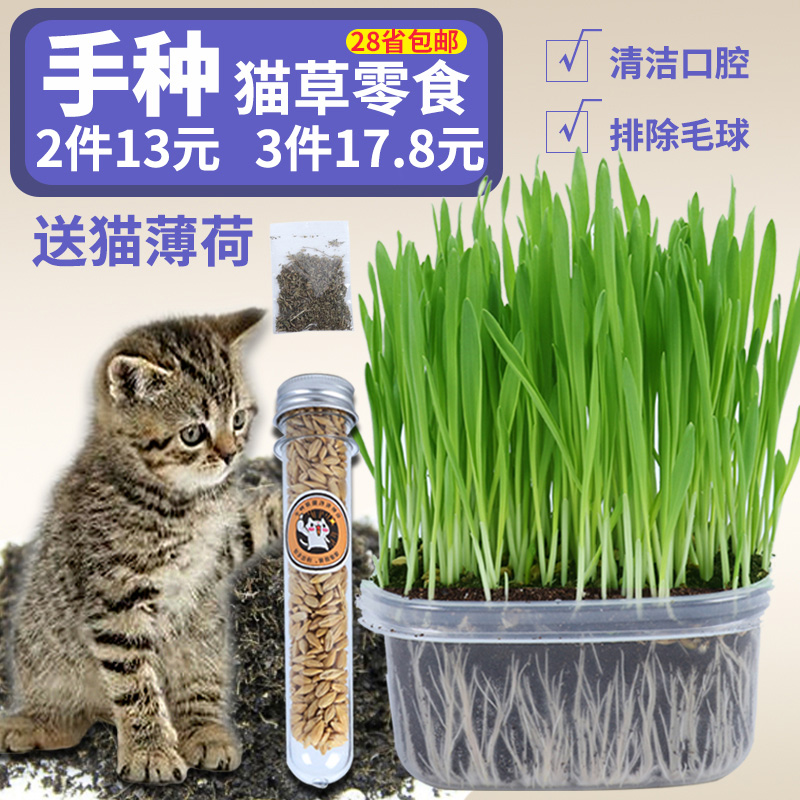 猫草种植套装猫零食猫咪去毛球 猫草大麦种子送猫薄荷猫用品包邮