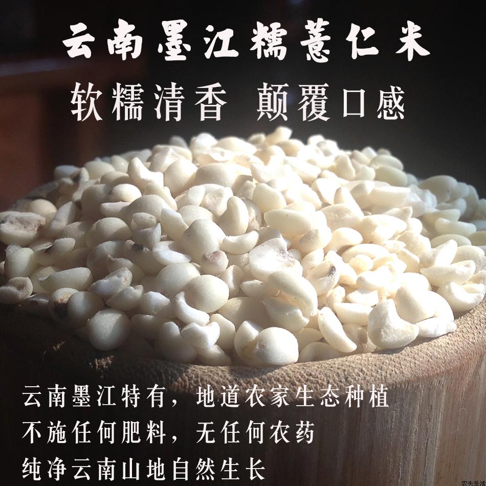云南普洱有机糯薏仁米云南特产薏苡仁米苡米薏米2016香糯滑500克