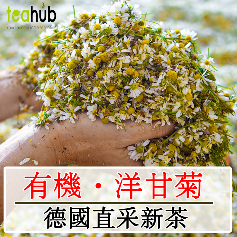 德国洋甘菊花茶洋甘菊茶有机进口洋甘菊养胃葛森洋甘菊茶菊花灌肠