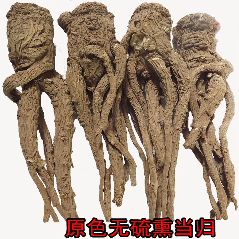正宗岷归中药材岷县当归无硫当归原生态非野生当归500克包邮
