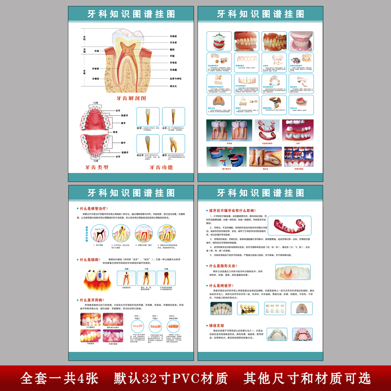 牙科口腔科诊所门诊海报知识宣传画广告大挂图展板烤瓷牙齿解剖图