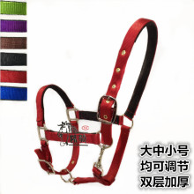 牵马笼头精骑马鞍马具调教彩色小马大马防磨马龙头缰绳马术用品
