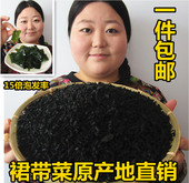 大连出口裙带菜 海白菜螺旋藻干货海带芽250g 海木耳 包邮 1件