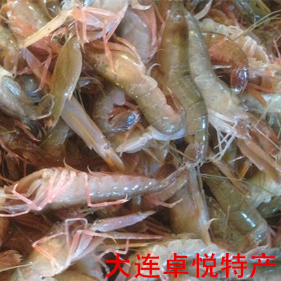 大连庄河海鲜 腌制生拌新鲜夹板虾嘎巴虾小海虾 嘎嘣虾鼓虾海味足