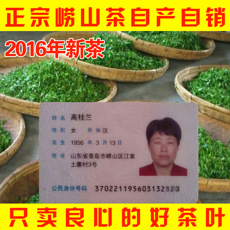 崂山绿茶2016新茶春茶500g特级散装炒青山东青岛特产绿茶叶包邮
