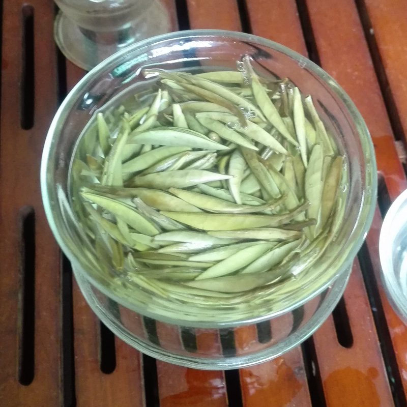 2016明前茶叶 特级福鼎白茶 白毫银针 政和白牡丹 绿雪芽50g